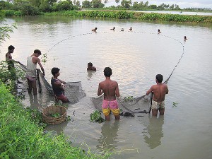 Fishing with net