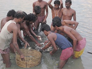 People involved in Pisiculture 